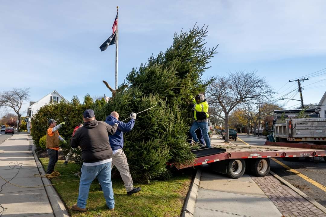 Town of Islip Parks employees hoist the tree into place. This year’s donor, Michael Aversano said, “It’s not what’s under the Christmas tree, but it’s the love, hope, and magic of the hearts that surround it.”